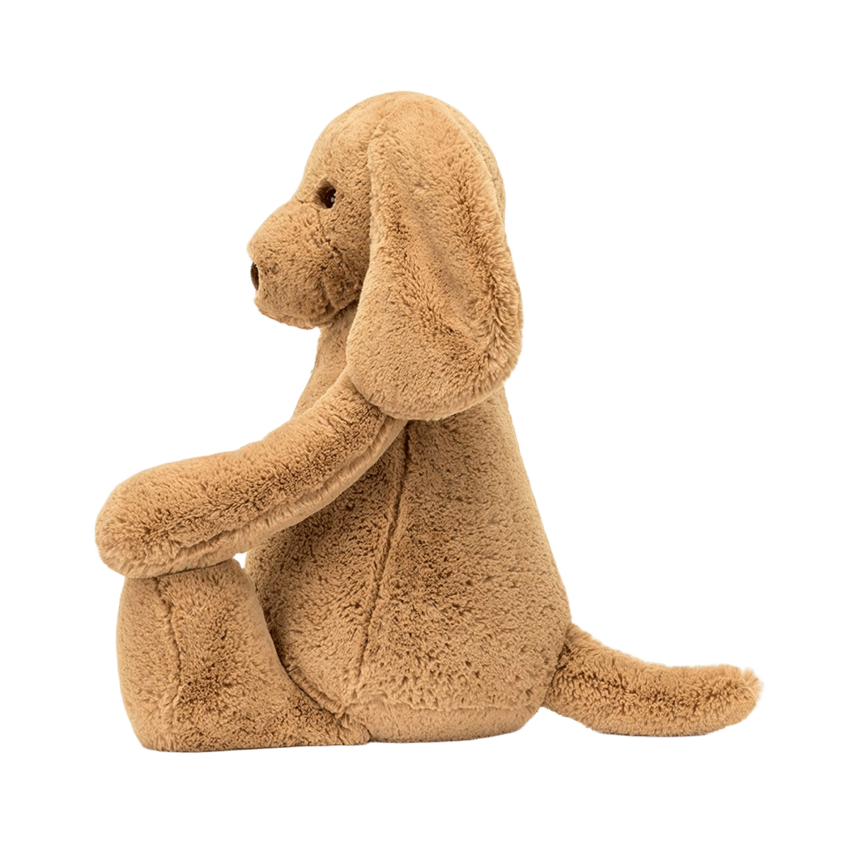 Bashful Toffee Puppy