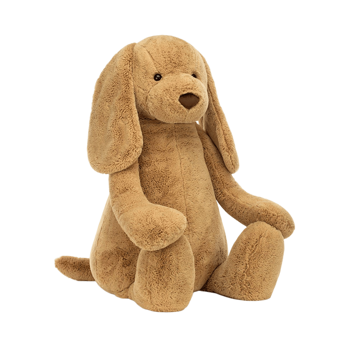 Bashful Toffee Puppy