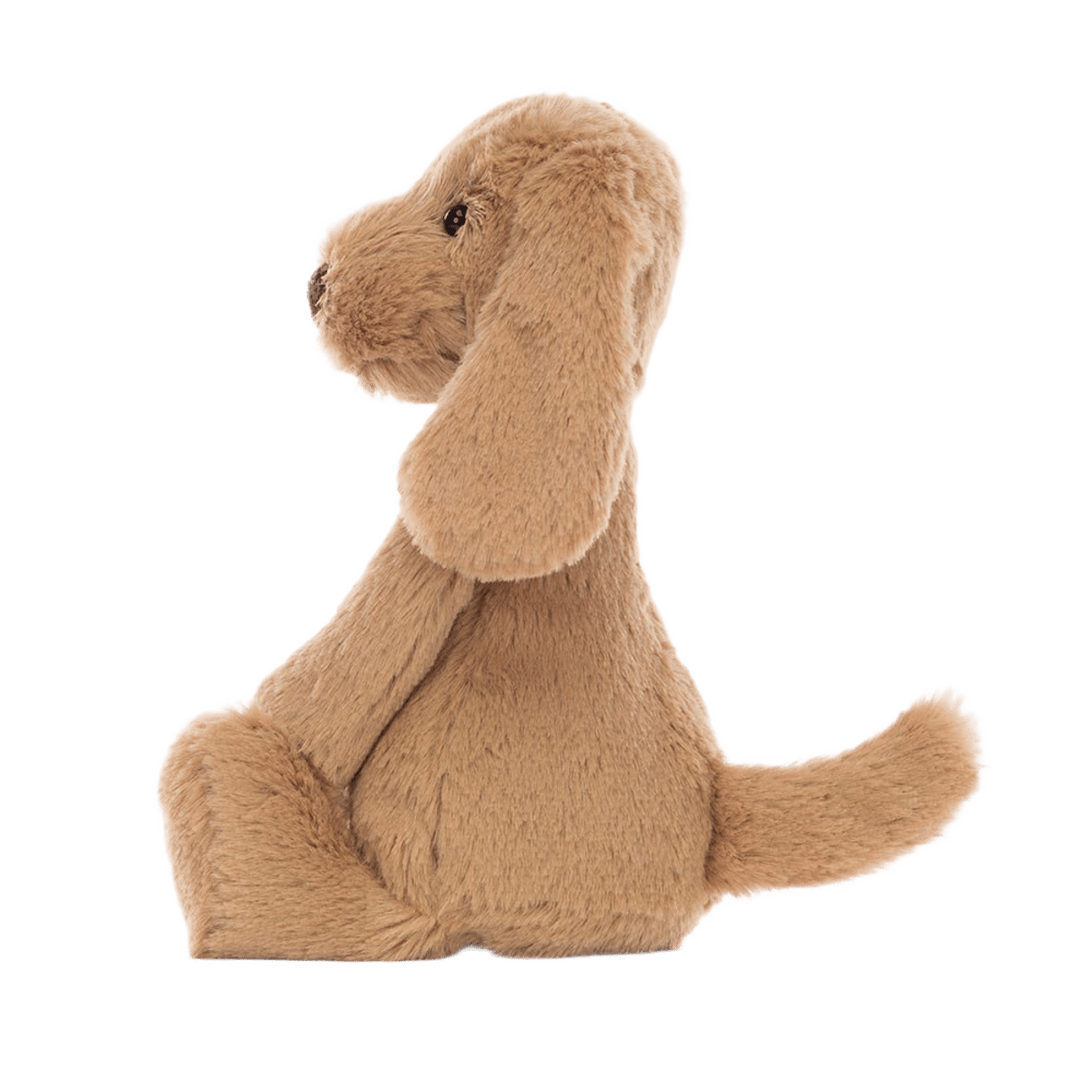 Bashful Toffee Puppy