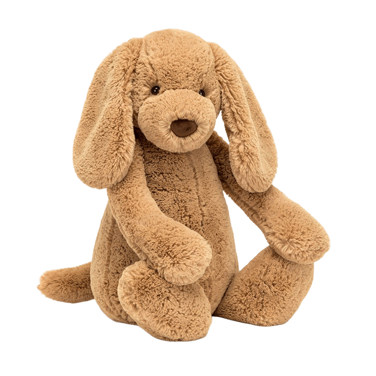 Bashful Toffee Puppy