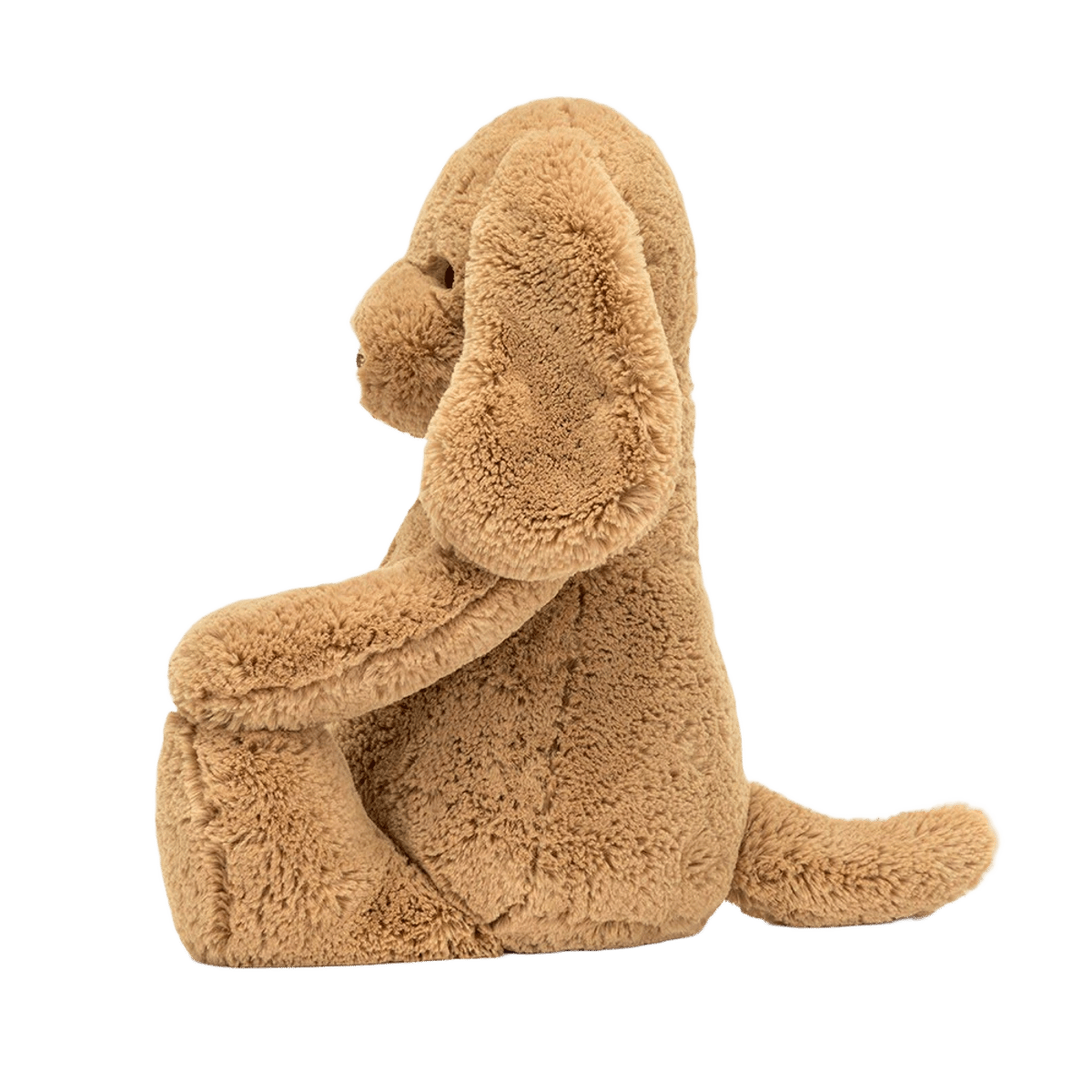 Bashful Toffee Puppy