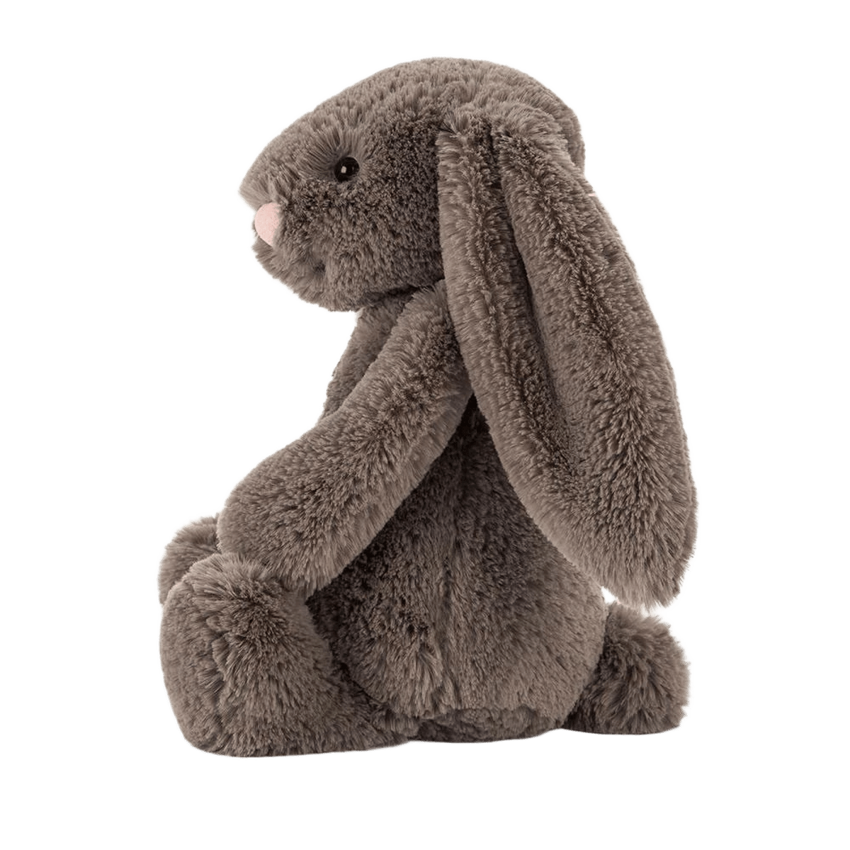 Bashful Truffle Bunny
