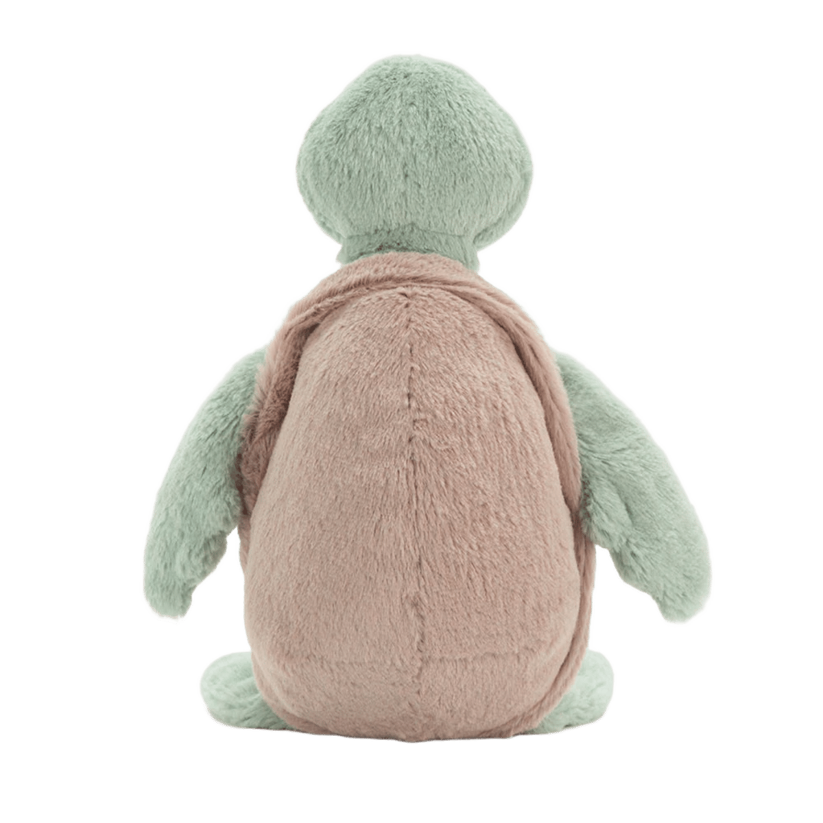 Bashful Turtle