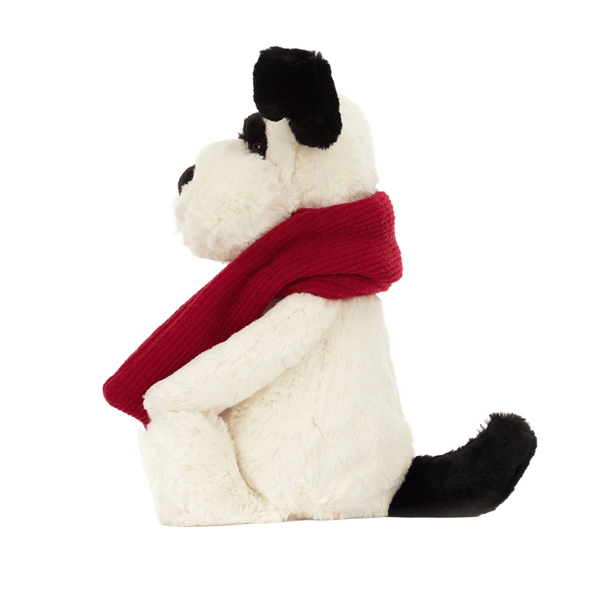 Bashful Winter Puppy