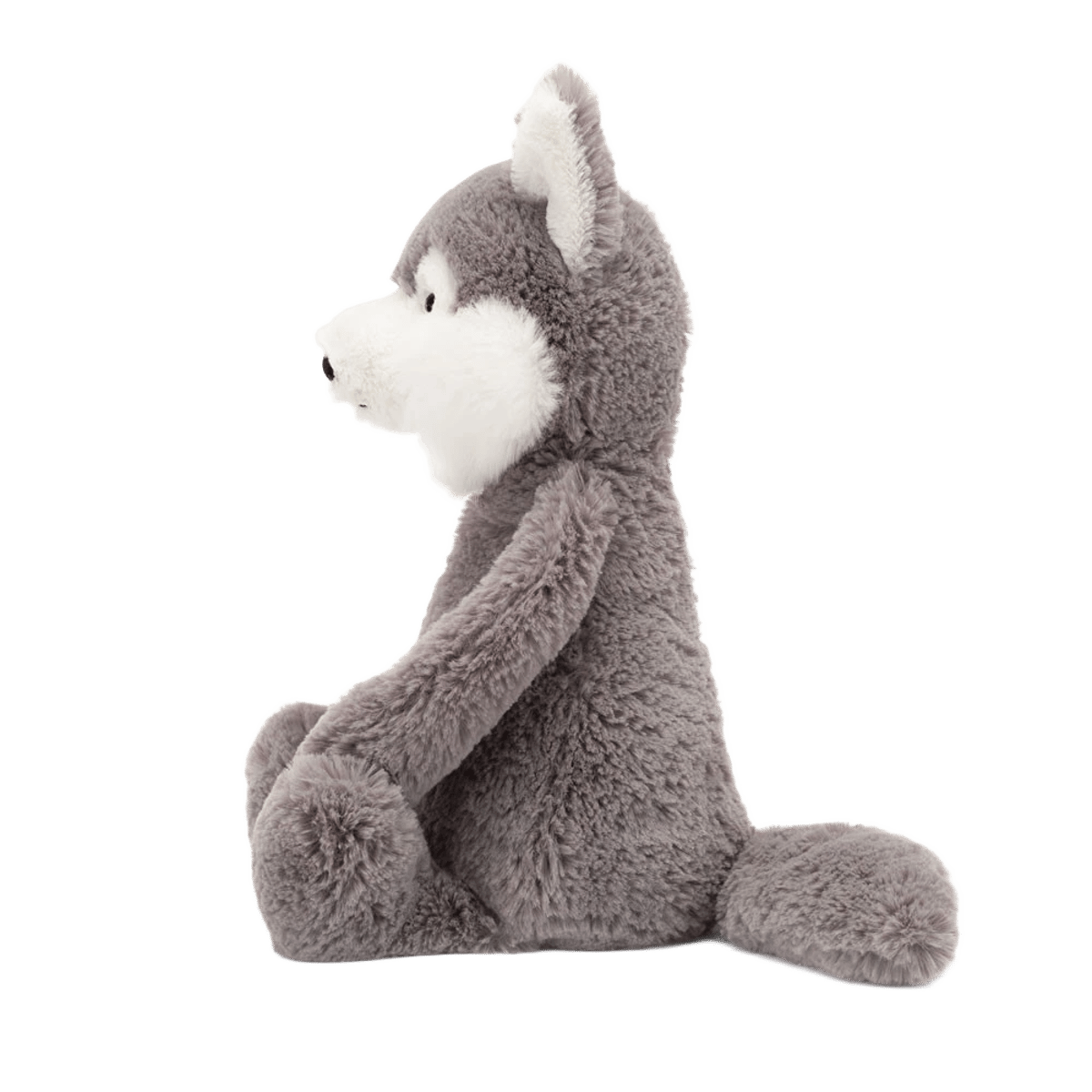 Bashful Wolf