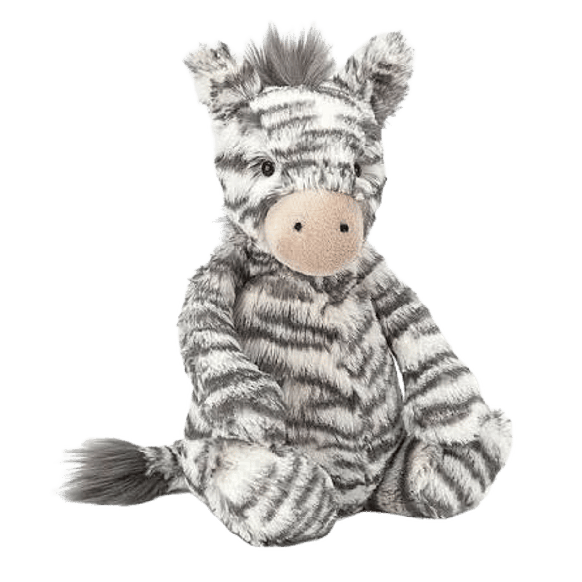 Bashful Zebra