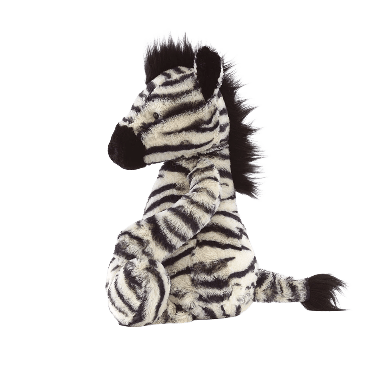 Bashful Zebra