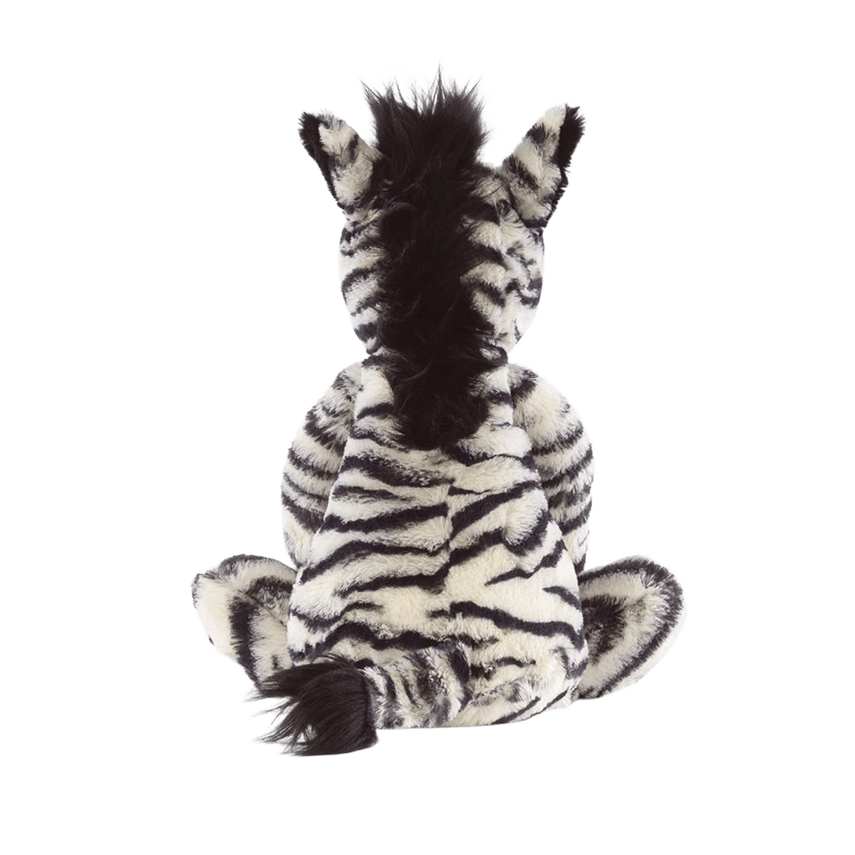 Bashful Zebra