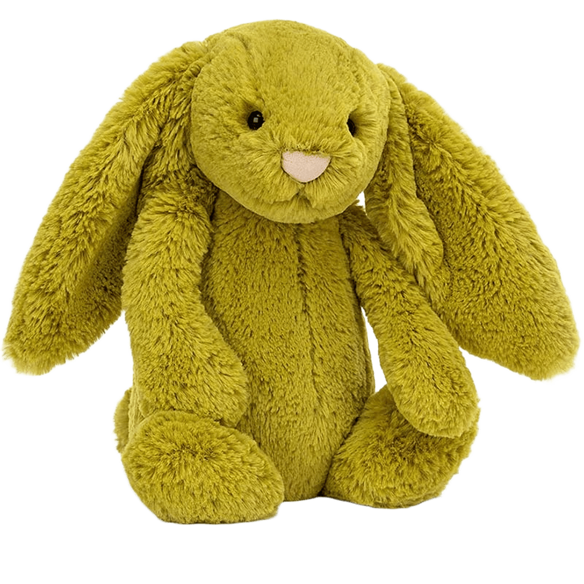 Bashful Zingy Bunny