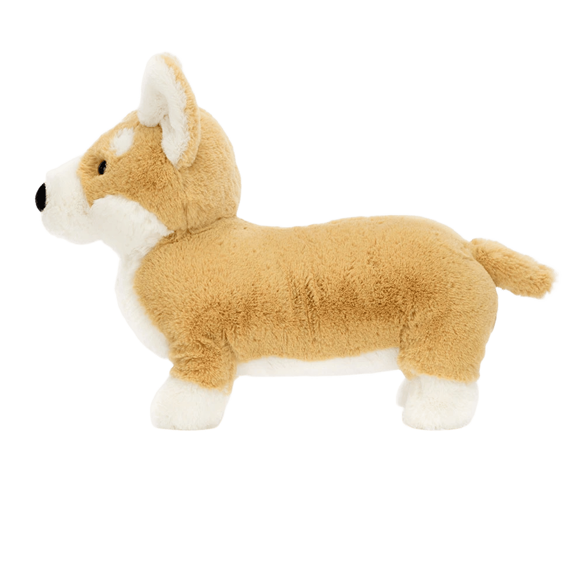 Betty Corgi