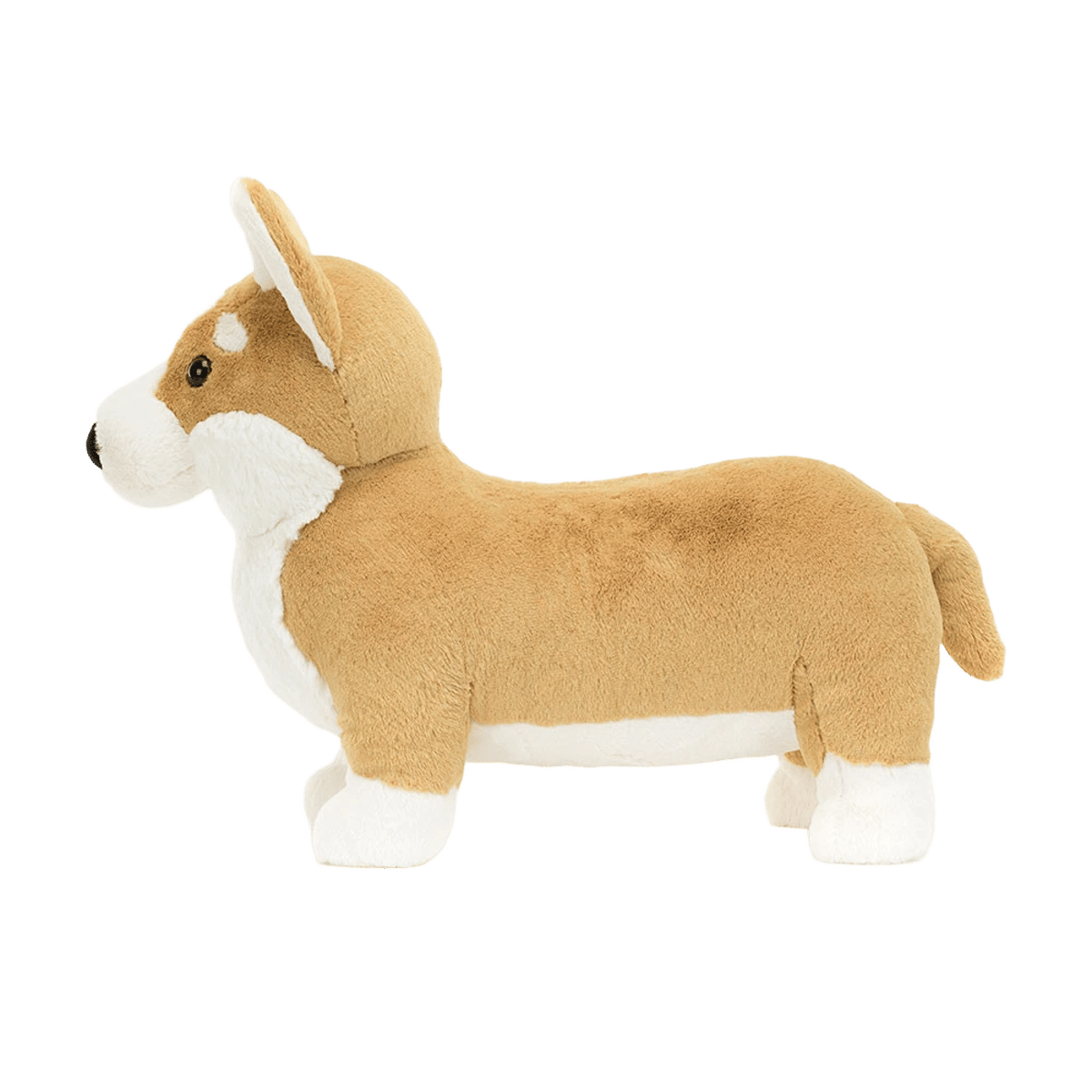 Betty Corgi