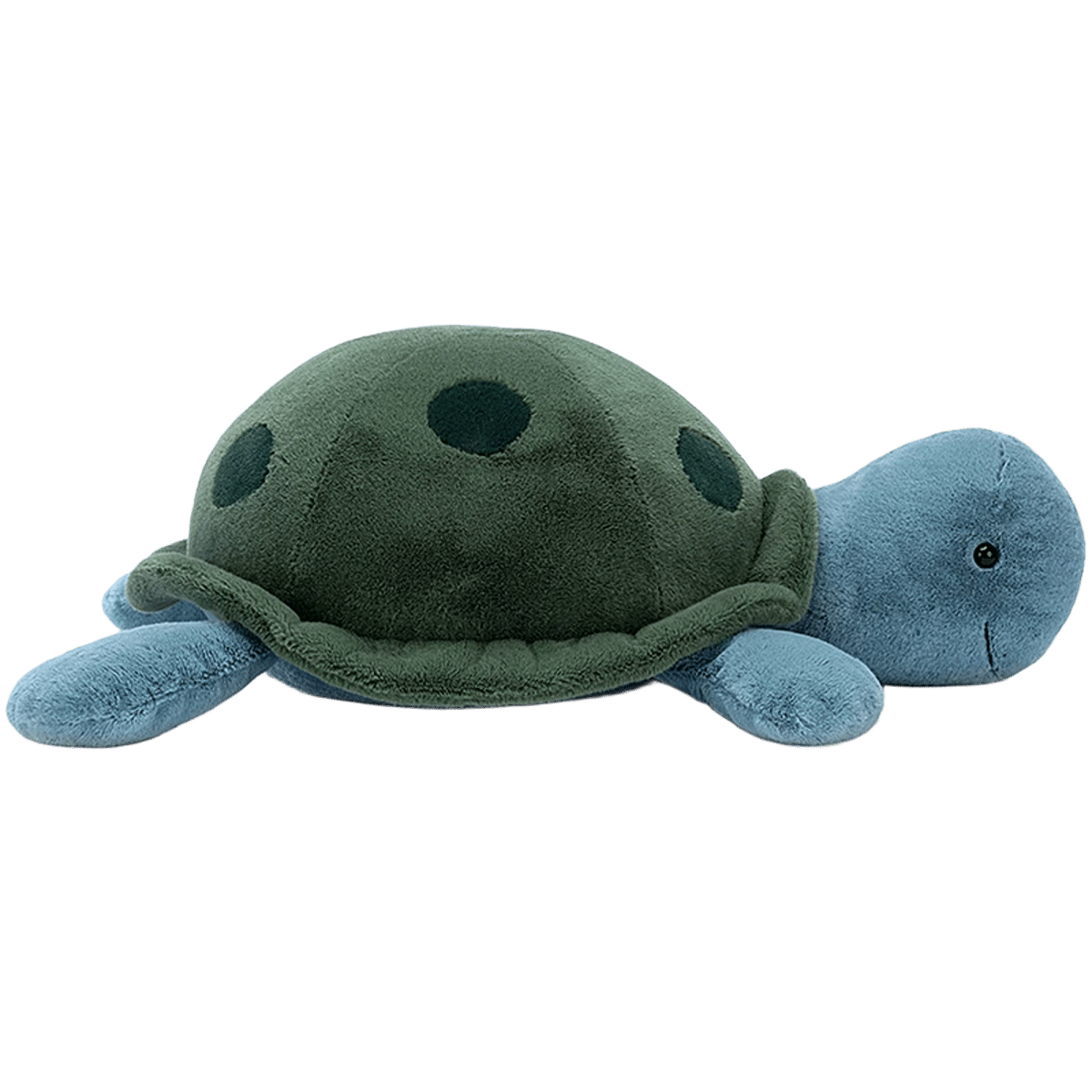 Big Spottie Turtle
