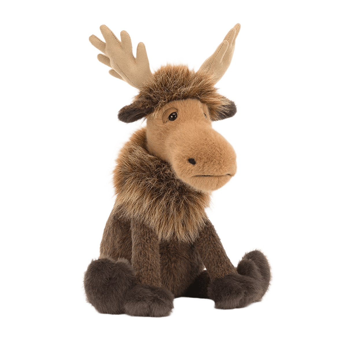 Birchly Moose
