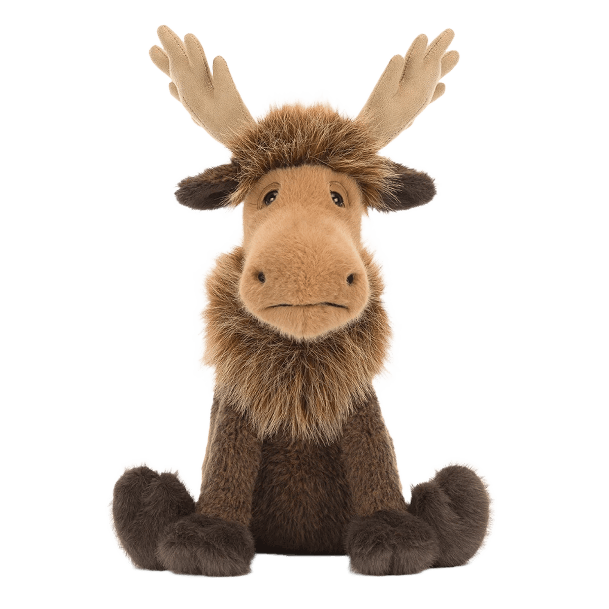 Birchly Moose