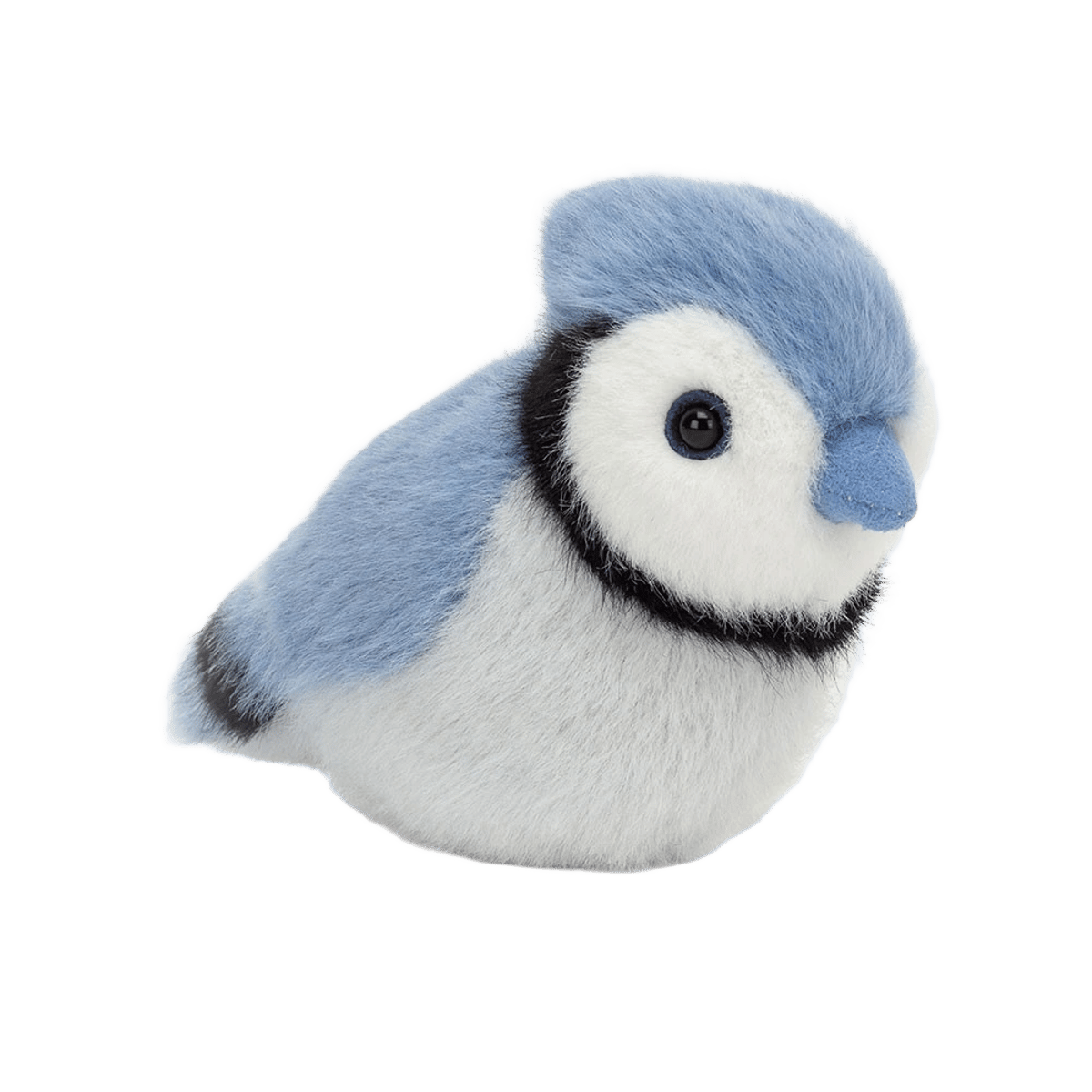 Birdling Blue Jay