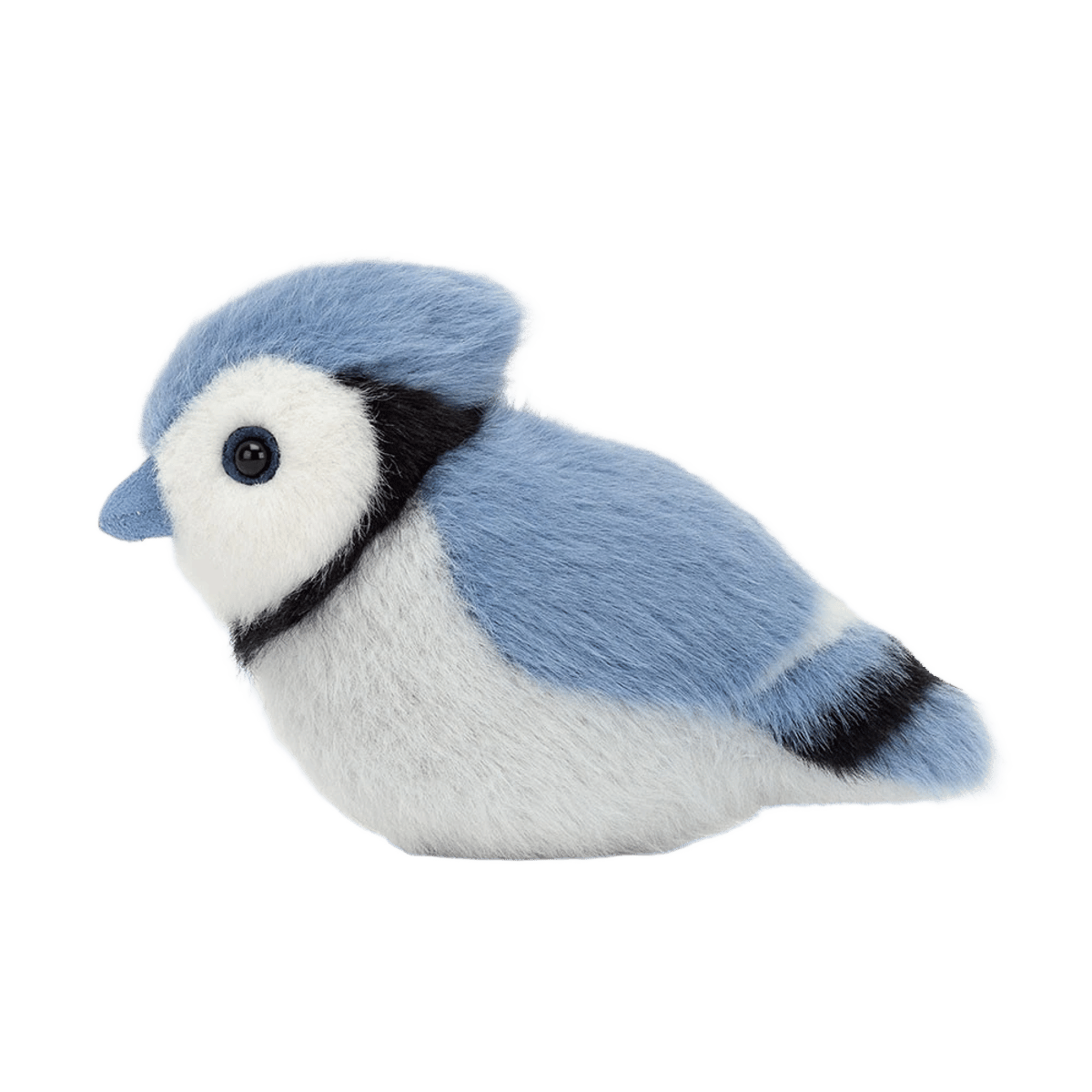 Birdling Blue Jay