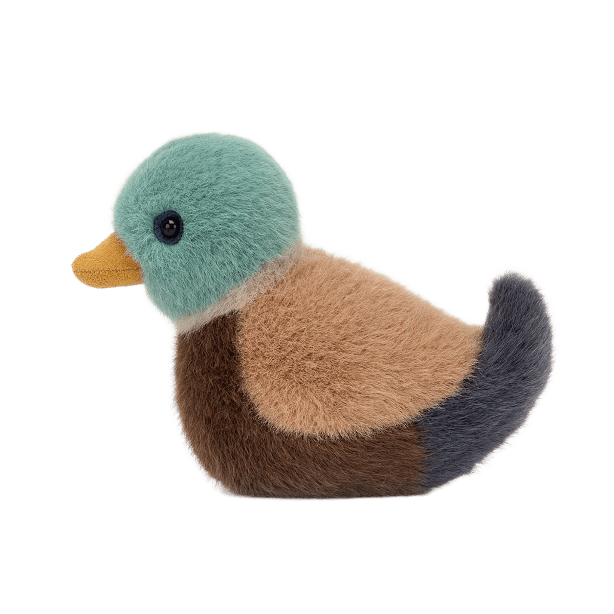 Birdling Mallard
