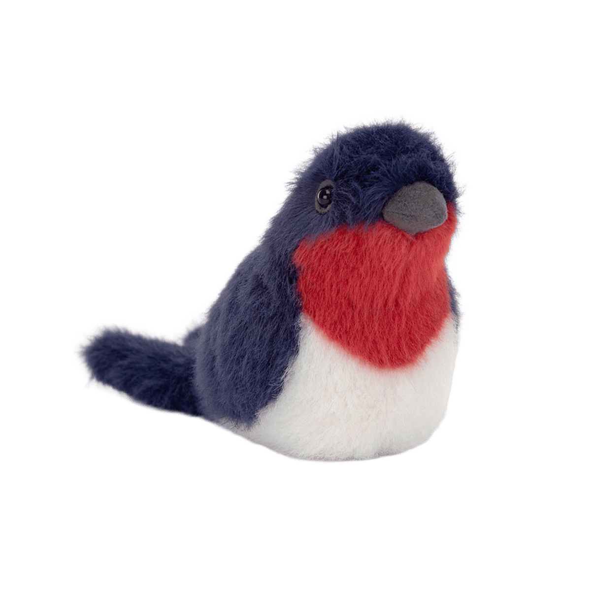 Birdling Swallow