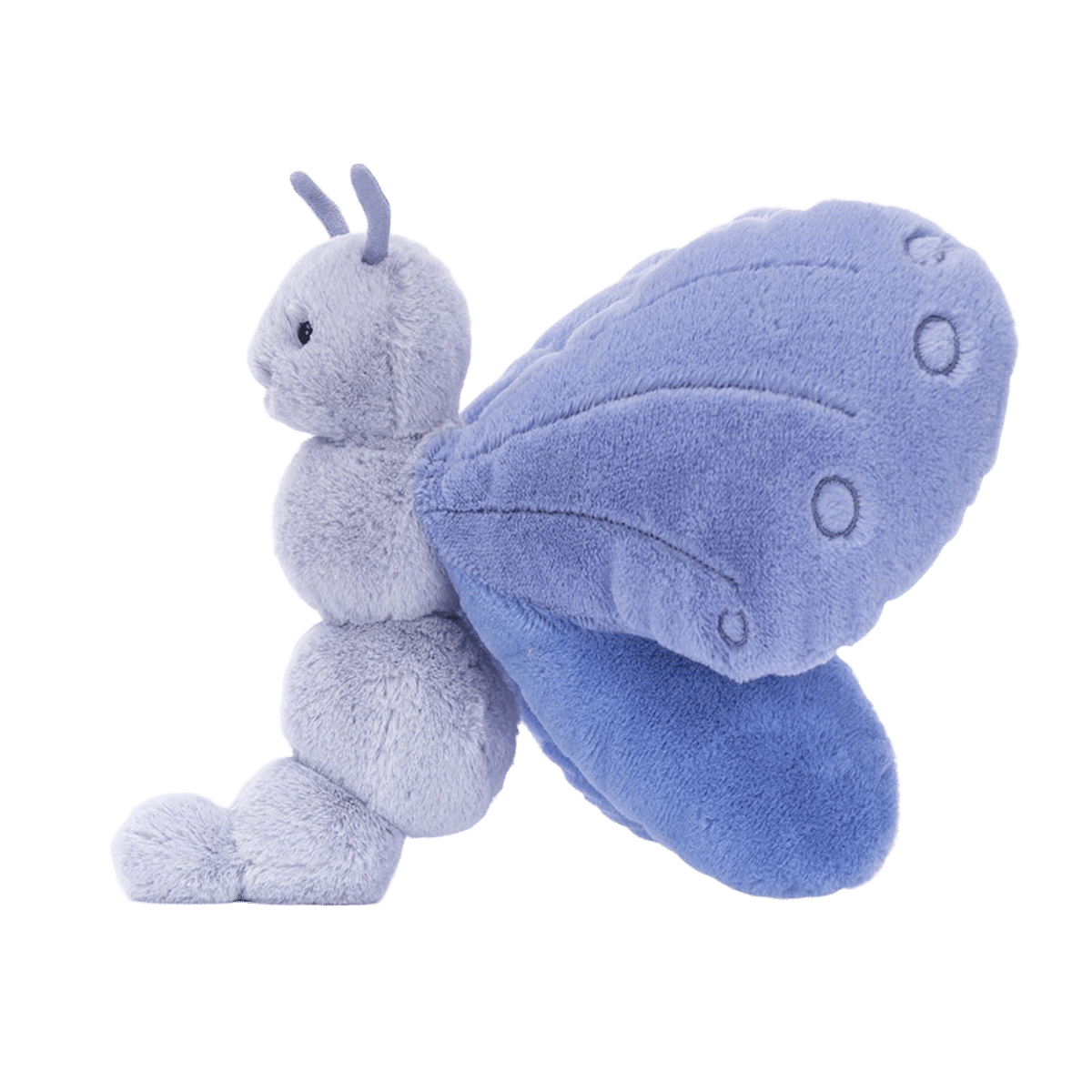 Bluebell Butterfly