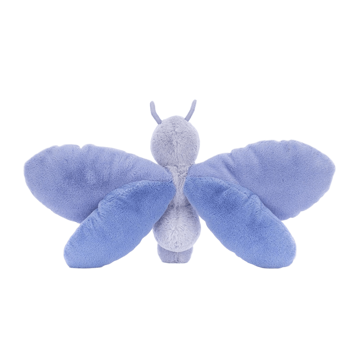 Bluebell Butterfly