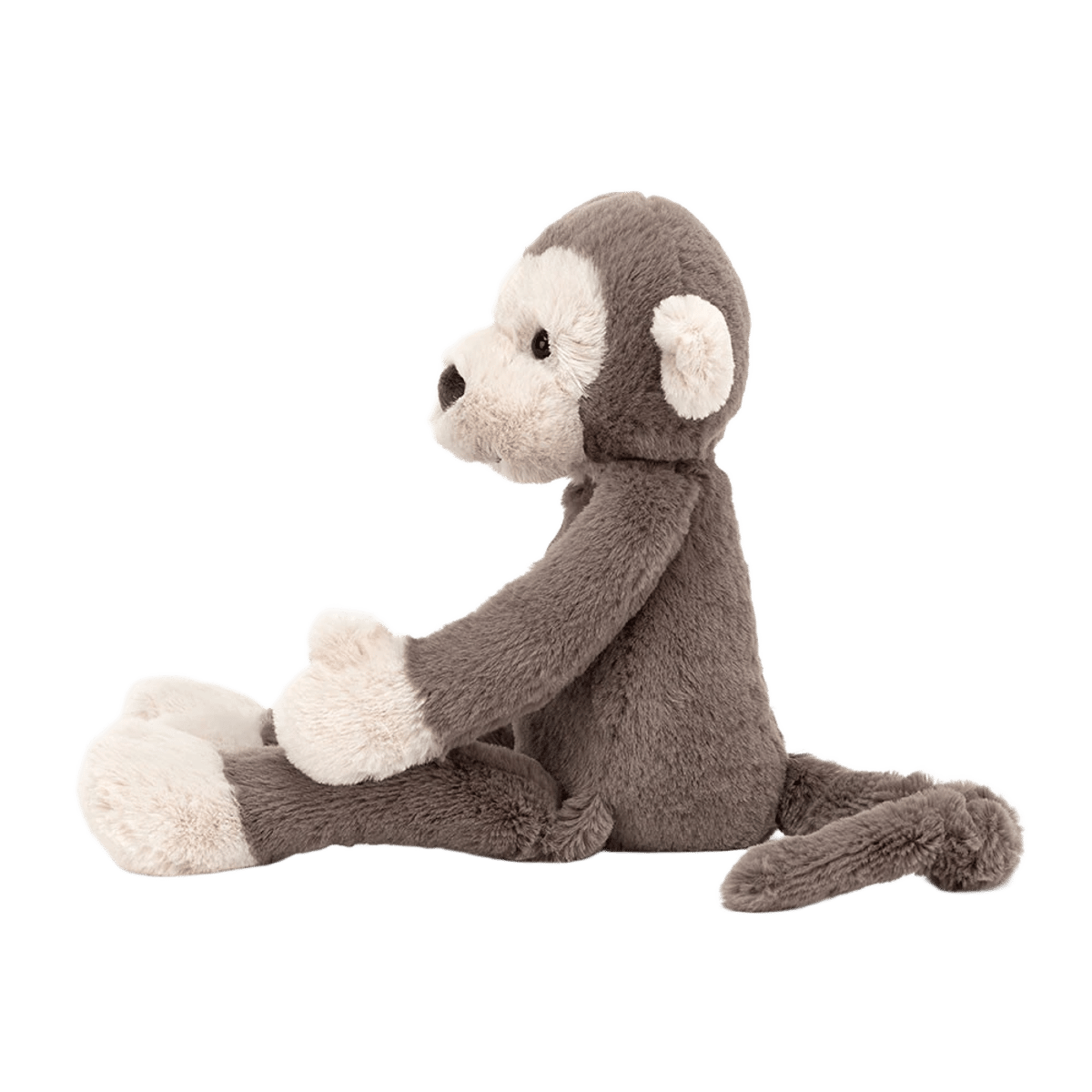 Brodie Monkey