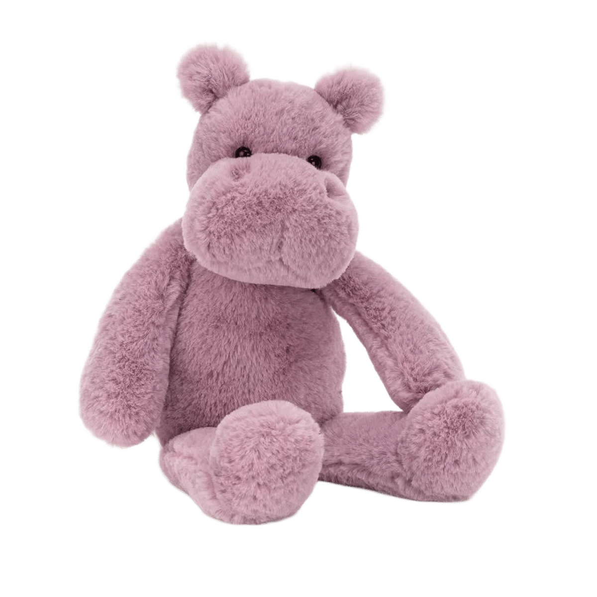 Brooklyn Hippo