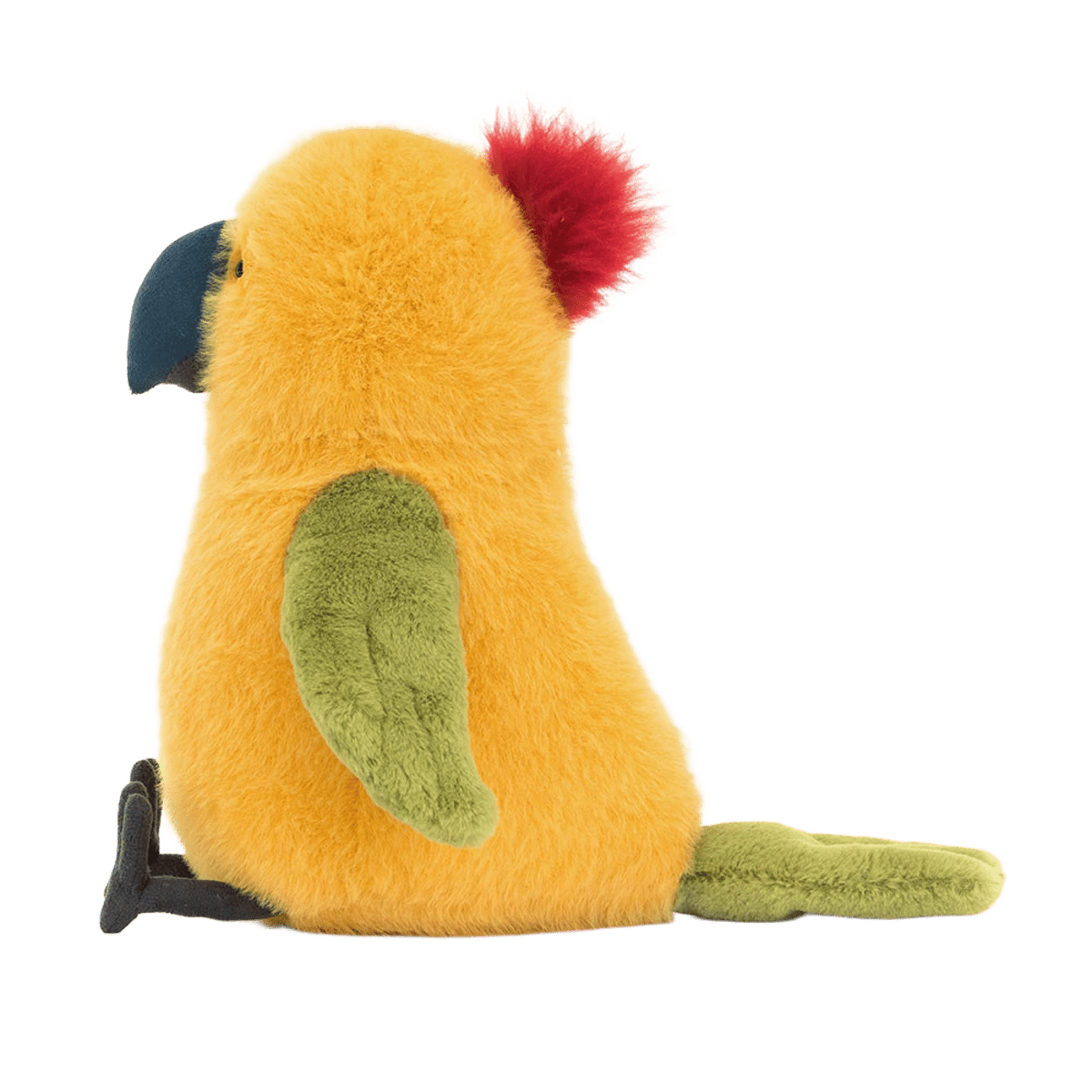 Budgeby Parrot