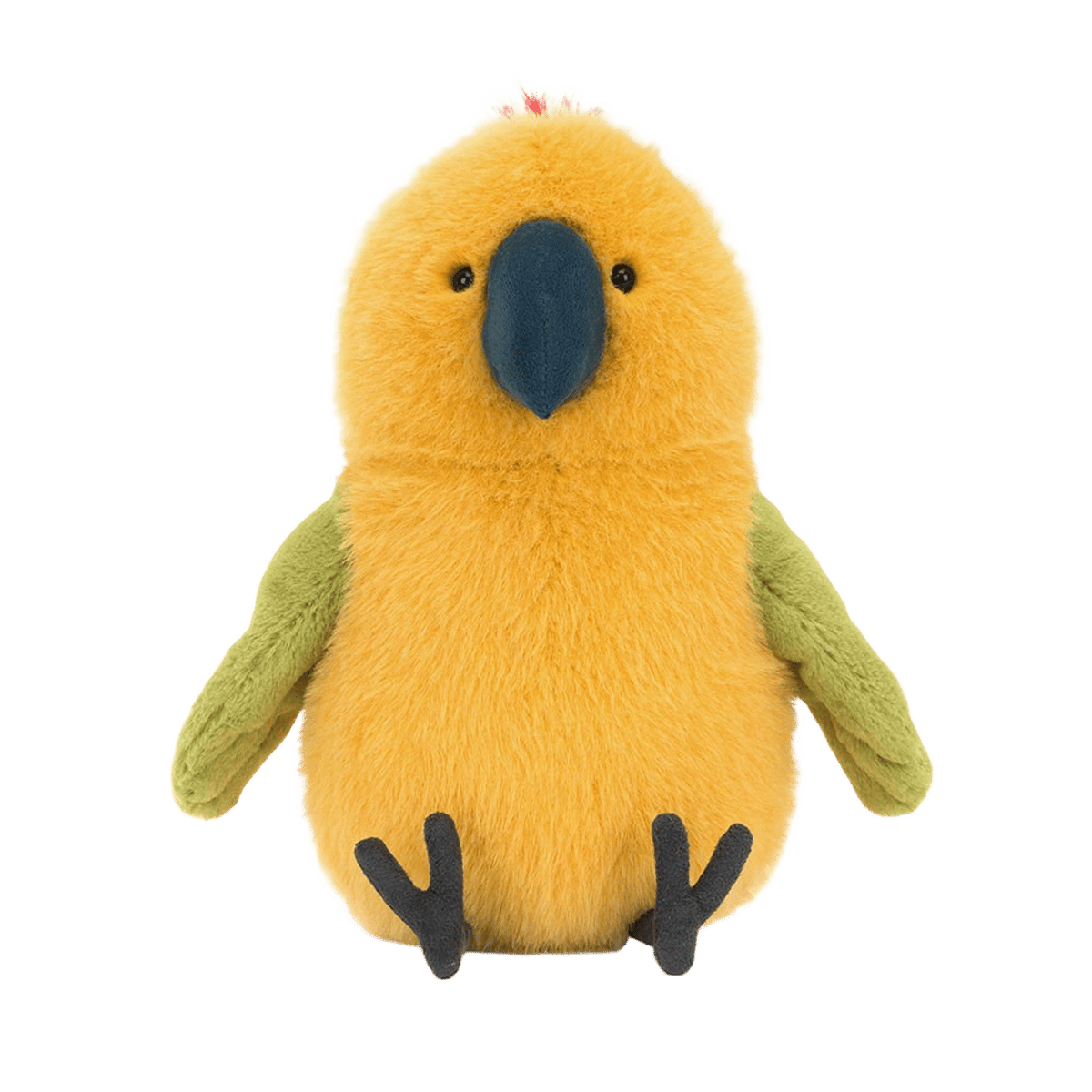 Budgeby Parrot
