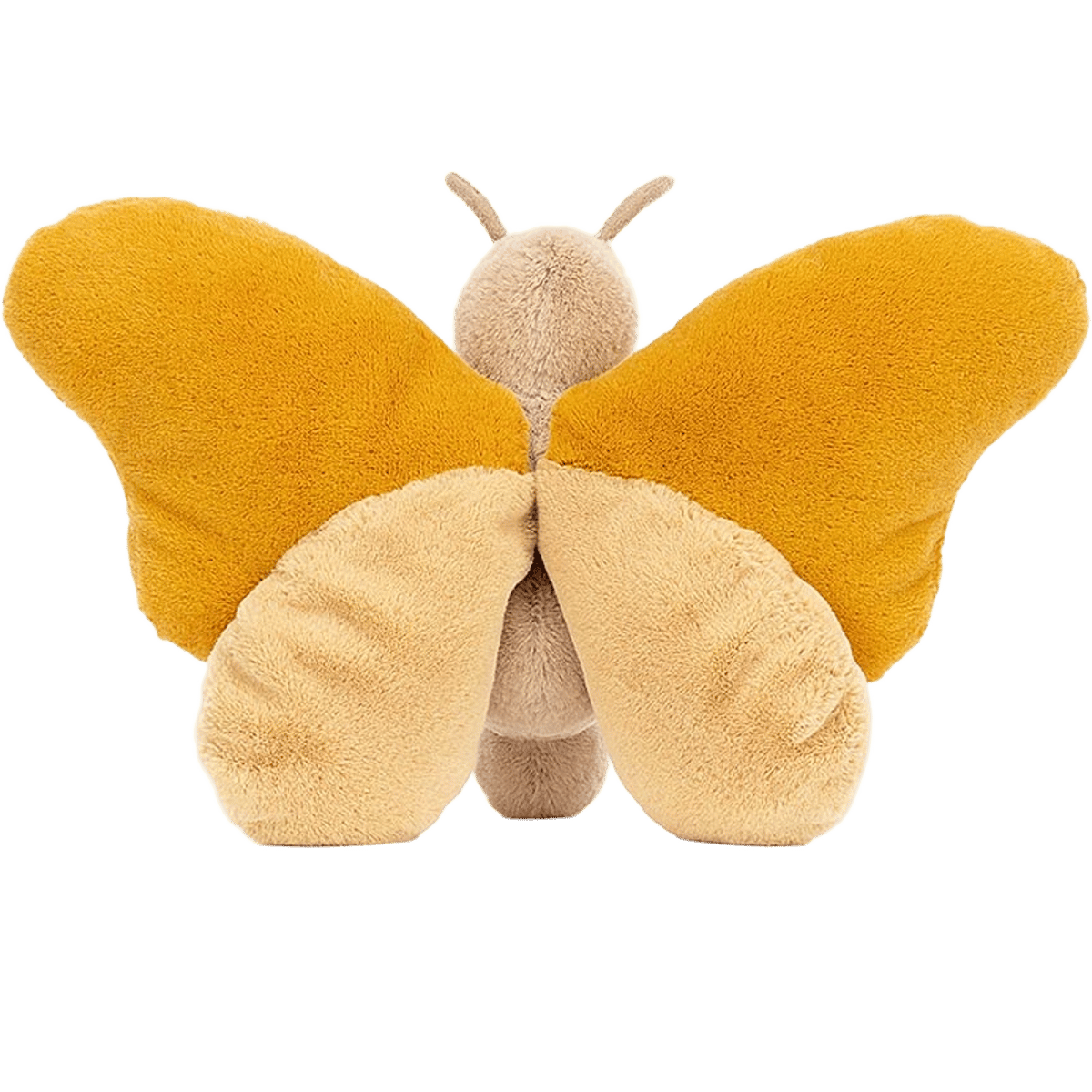 Buttercup Butterfly