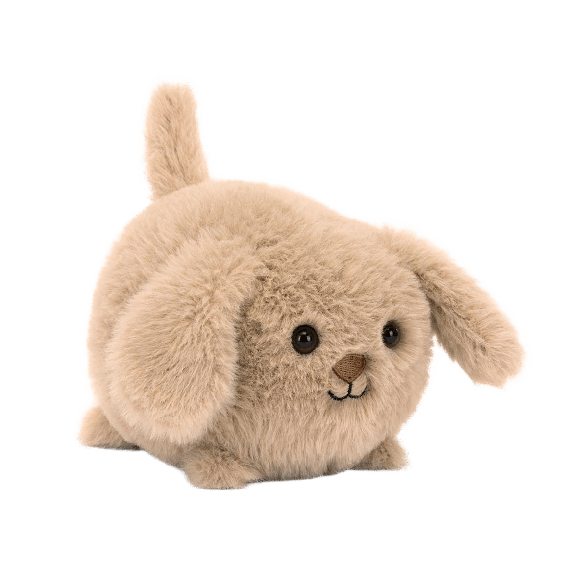 Caboodle Puppy