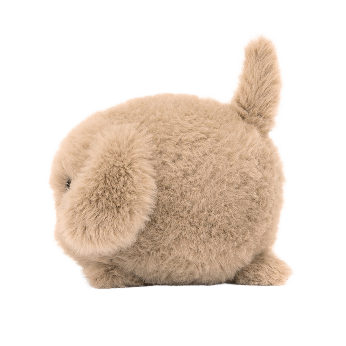 Caboodle Puppy