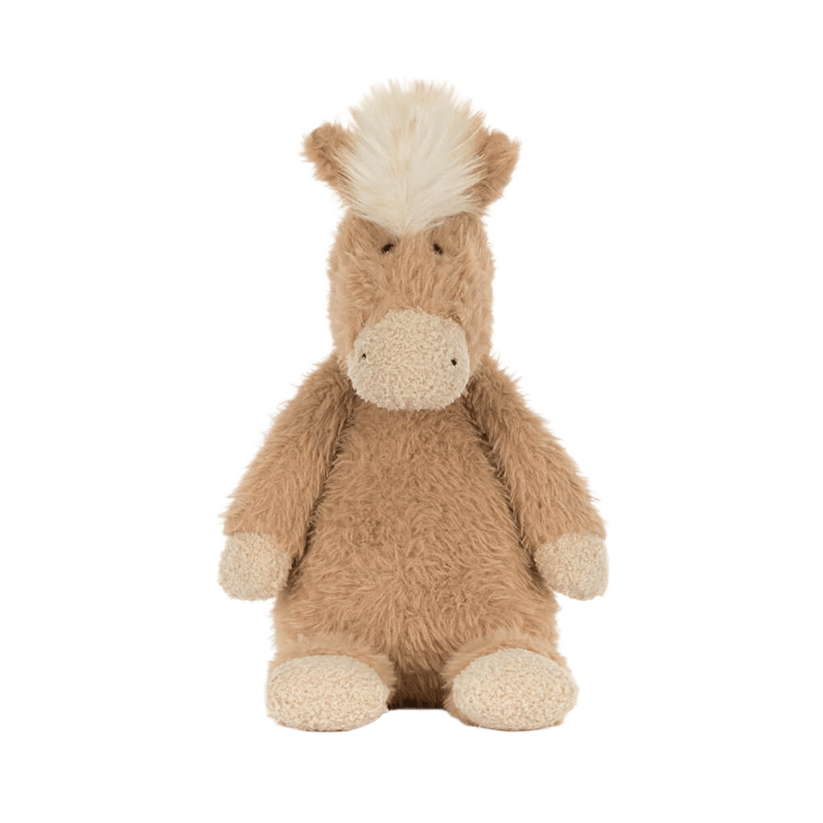 Canterneigh Pony