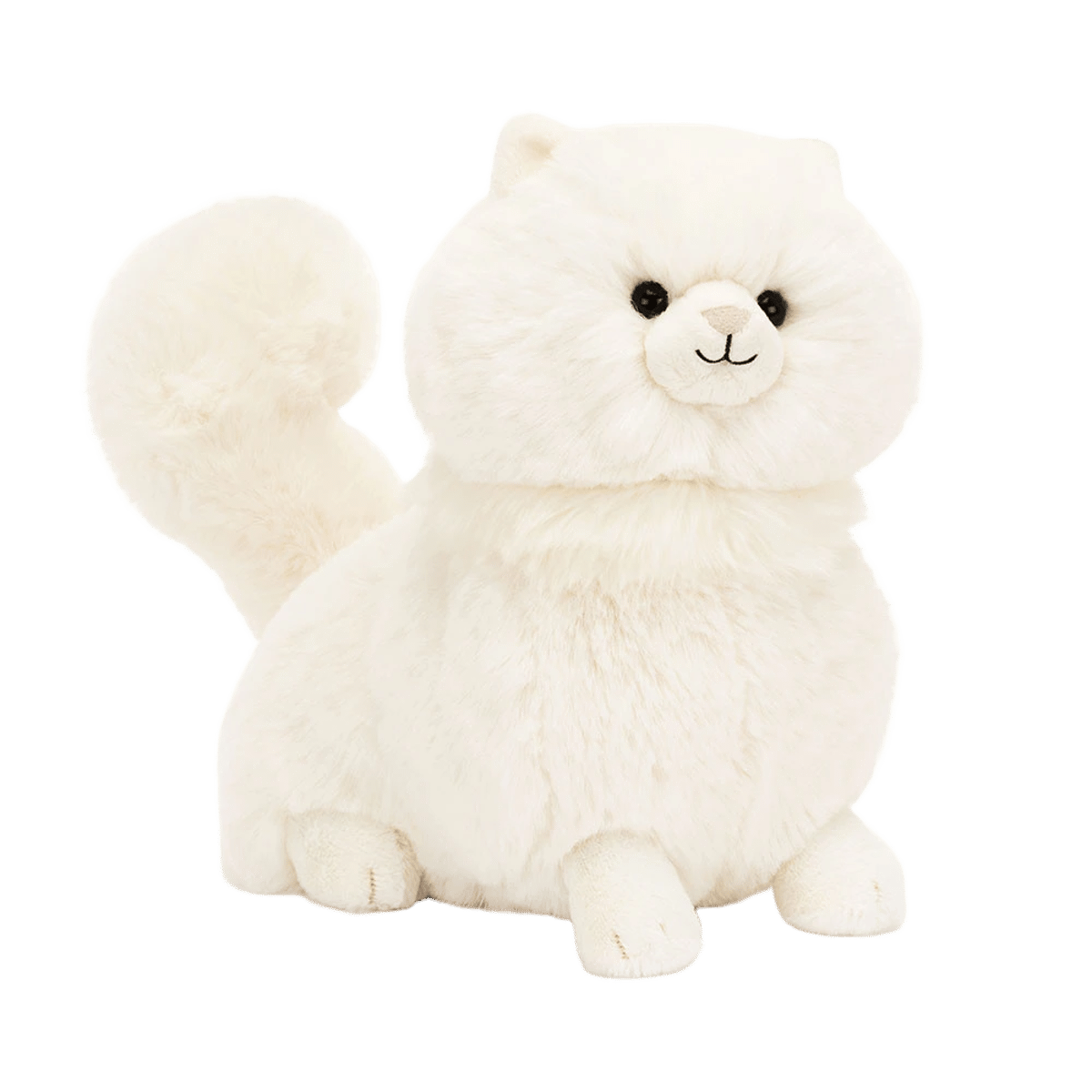 Carissa Persian Cat
