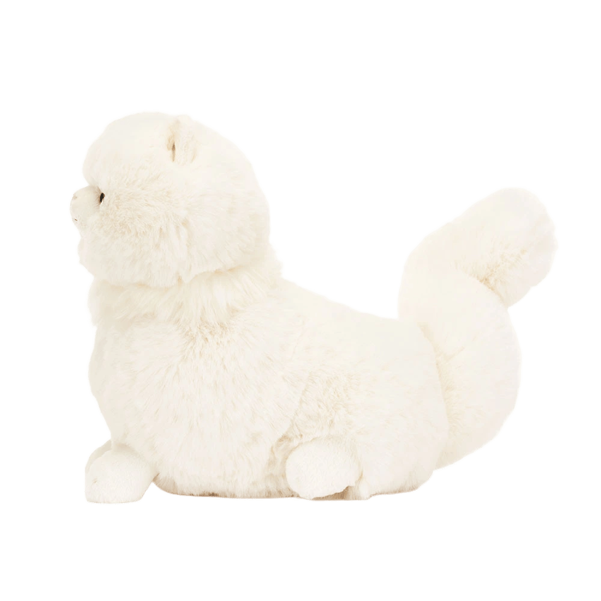 Carissa Persian Cat