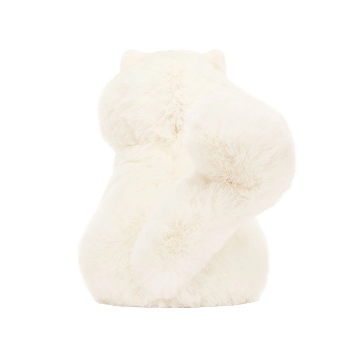 Carissa Persian Cat