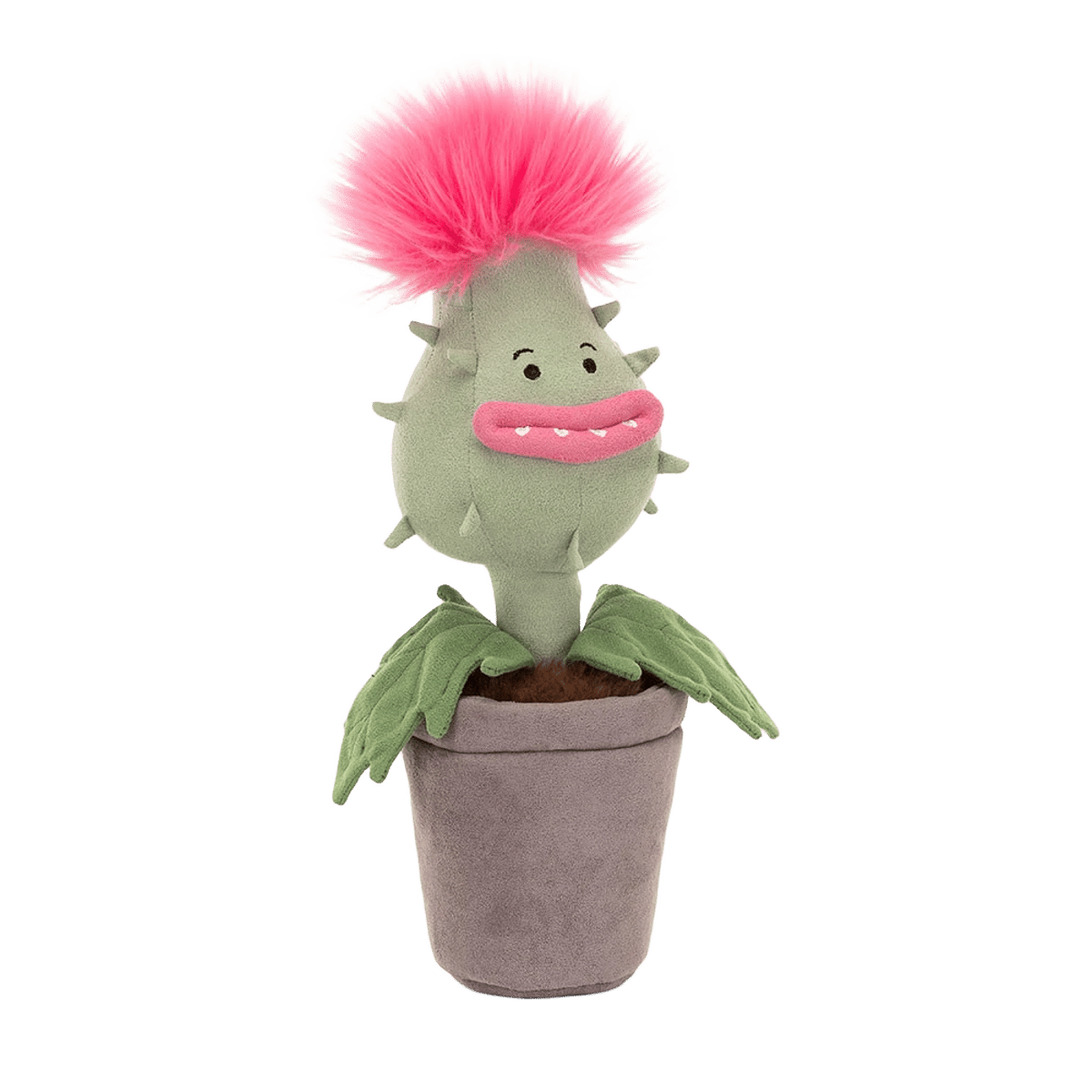 Carniflore Priscilla