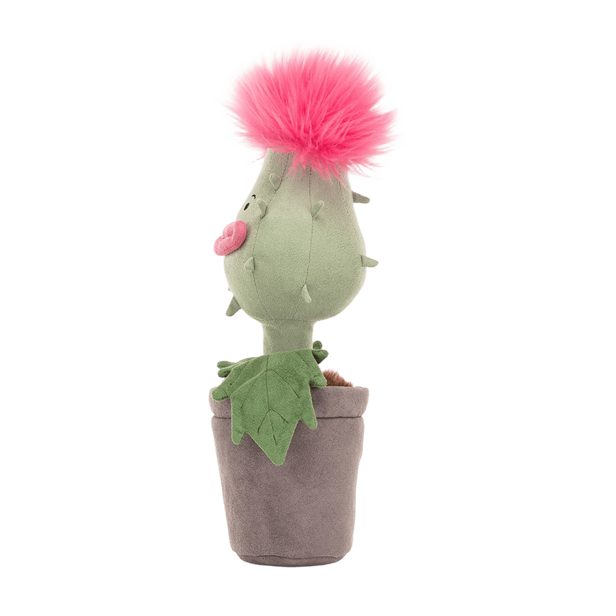 Carniflore Priscilla