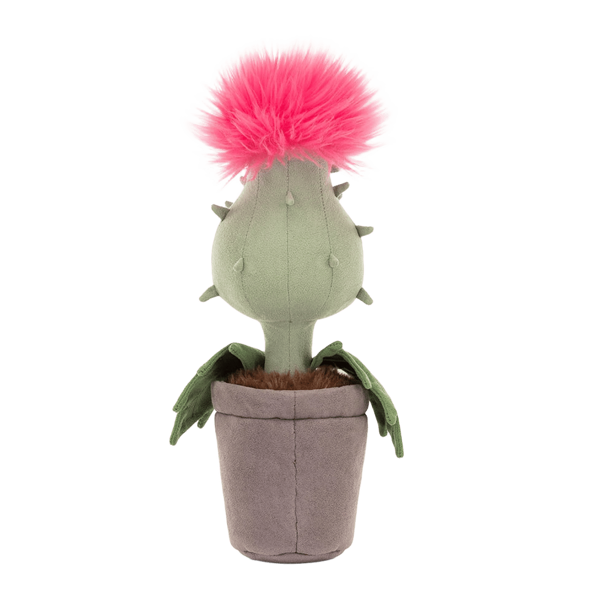 Carniflore Priscilla