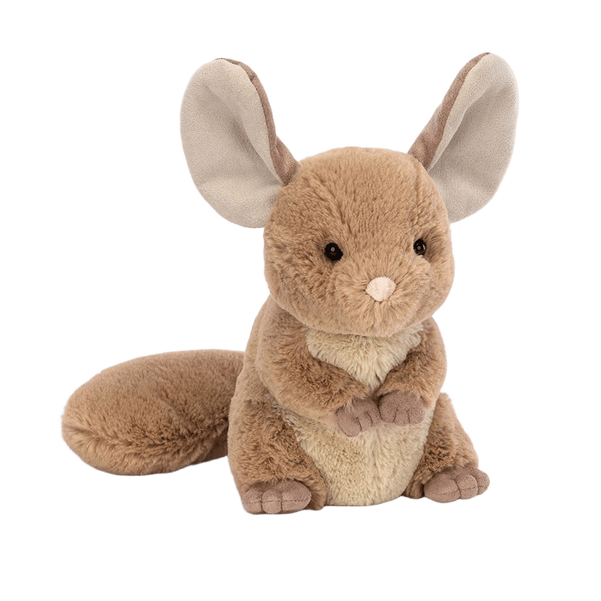 Chandler Chinchilla