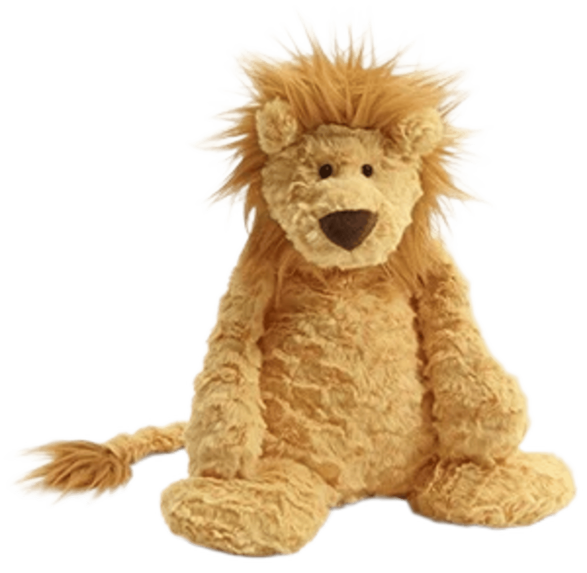 Charmed Leonardo Lion
