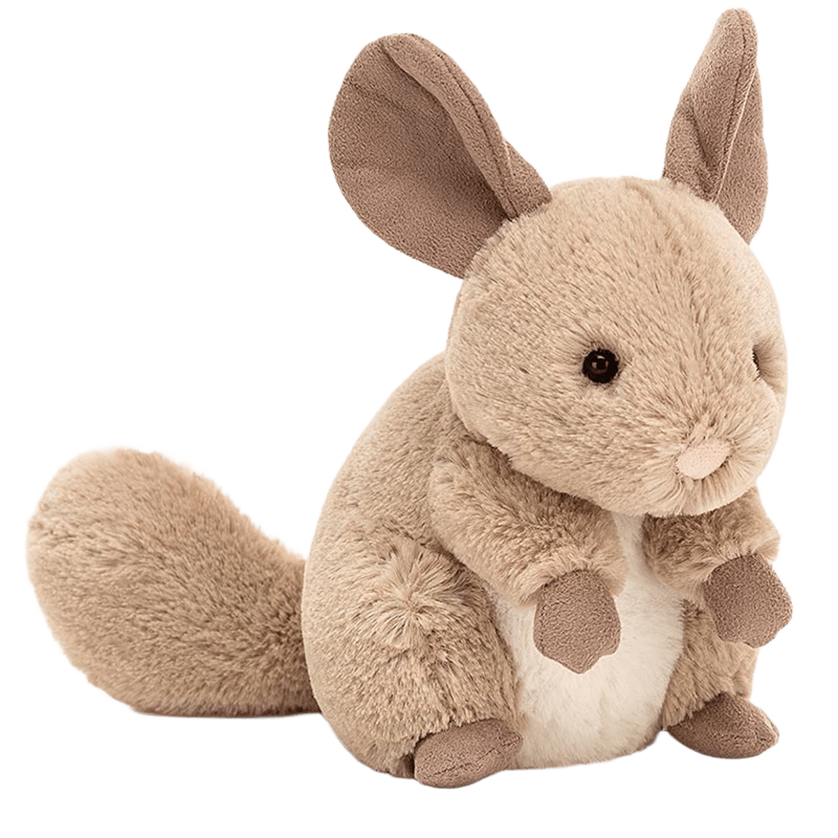 Cheeky Sandy Chinchilla