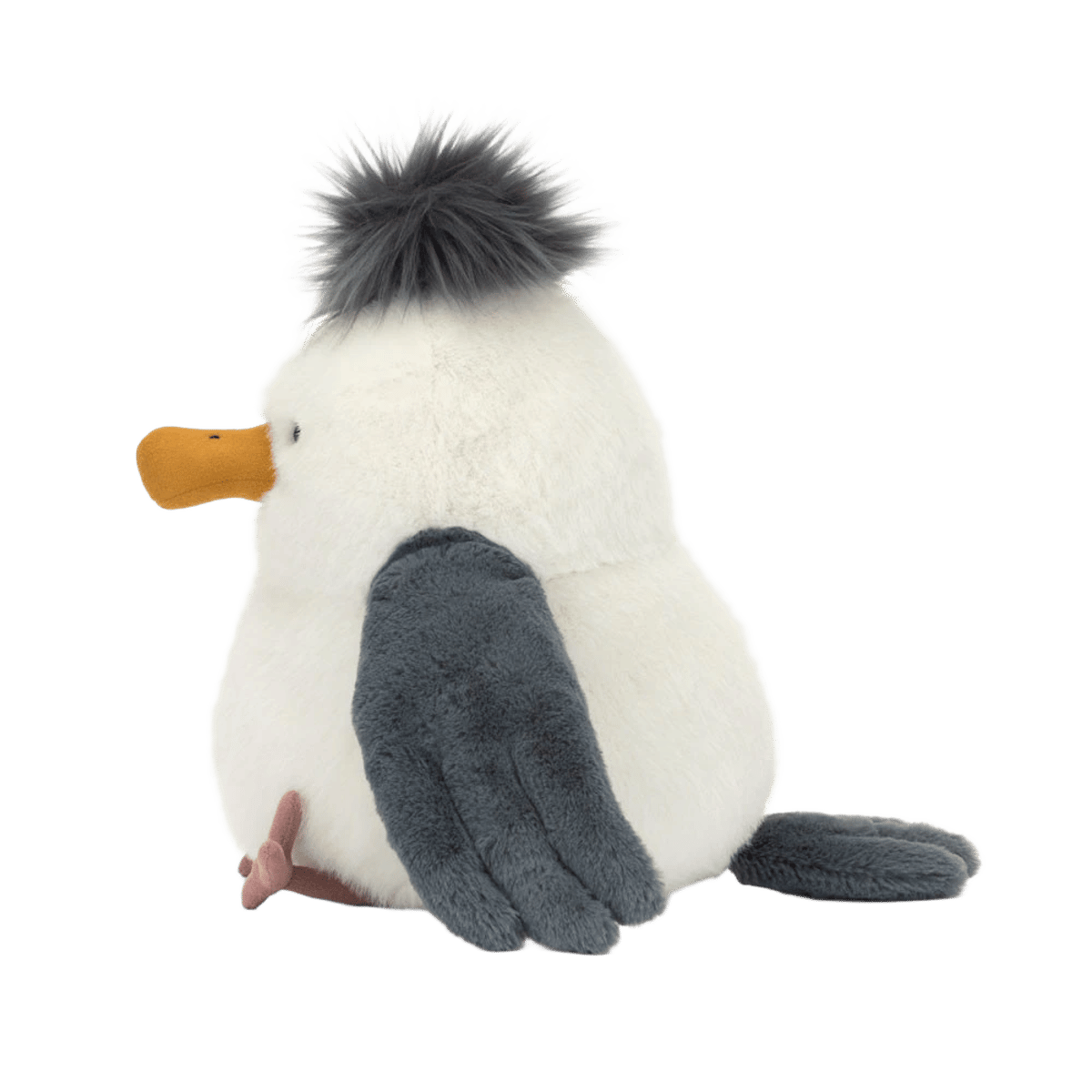 Chip Seagull