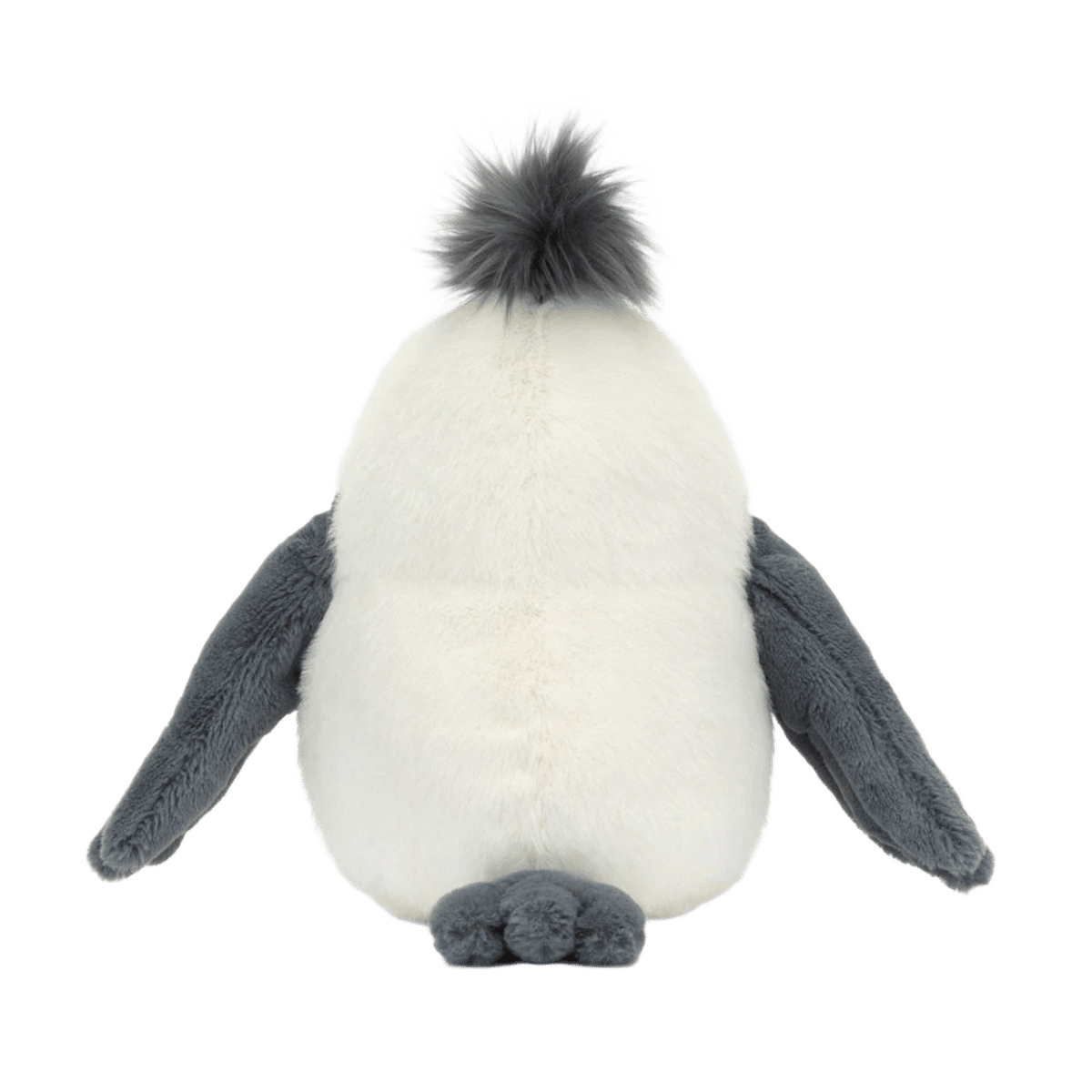 Chip Seagull