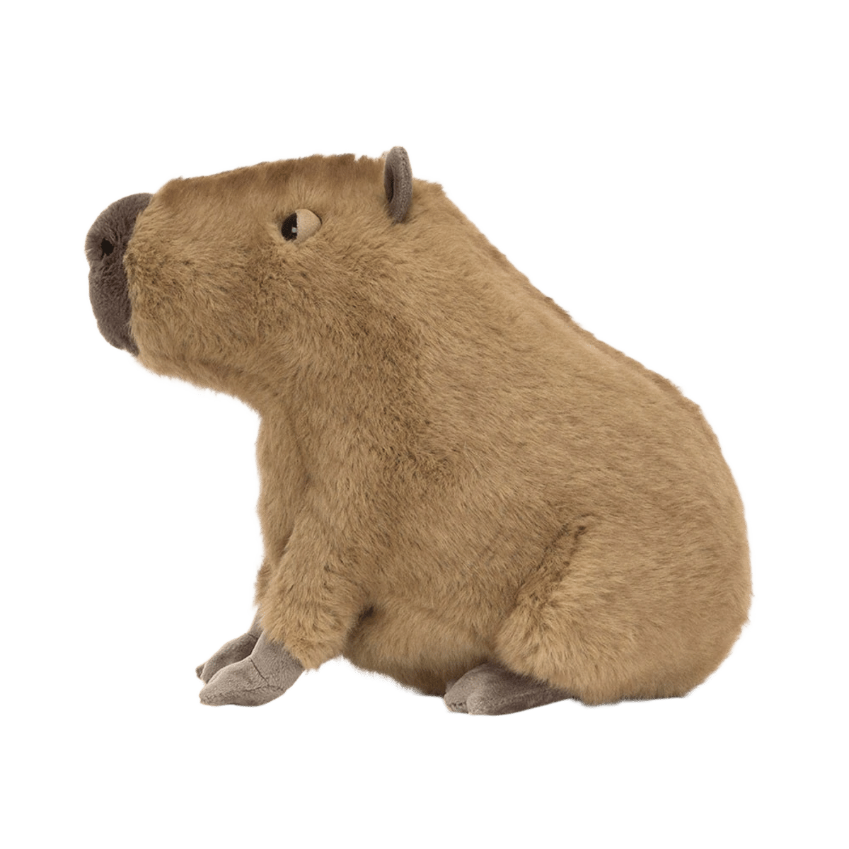 Clyde Capybara