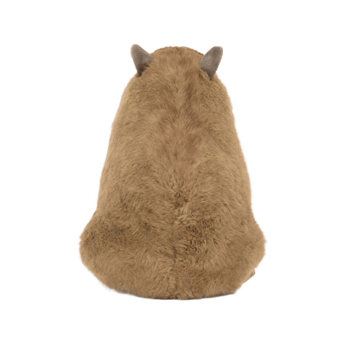 Clyde Capybara