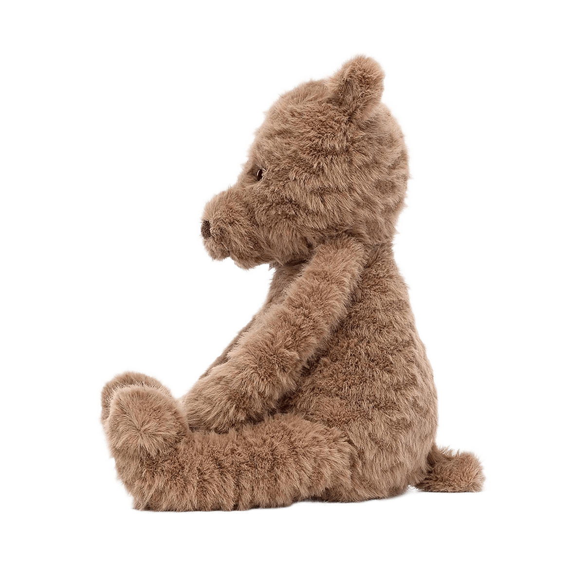 Cocoa Bear
