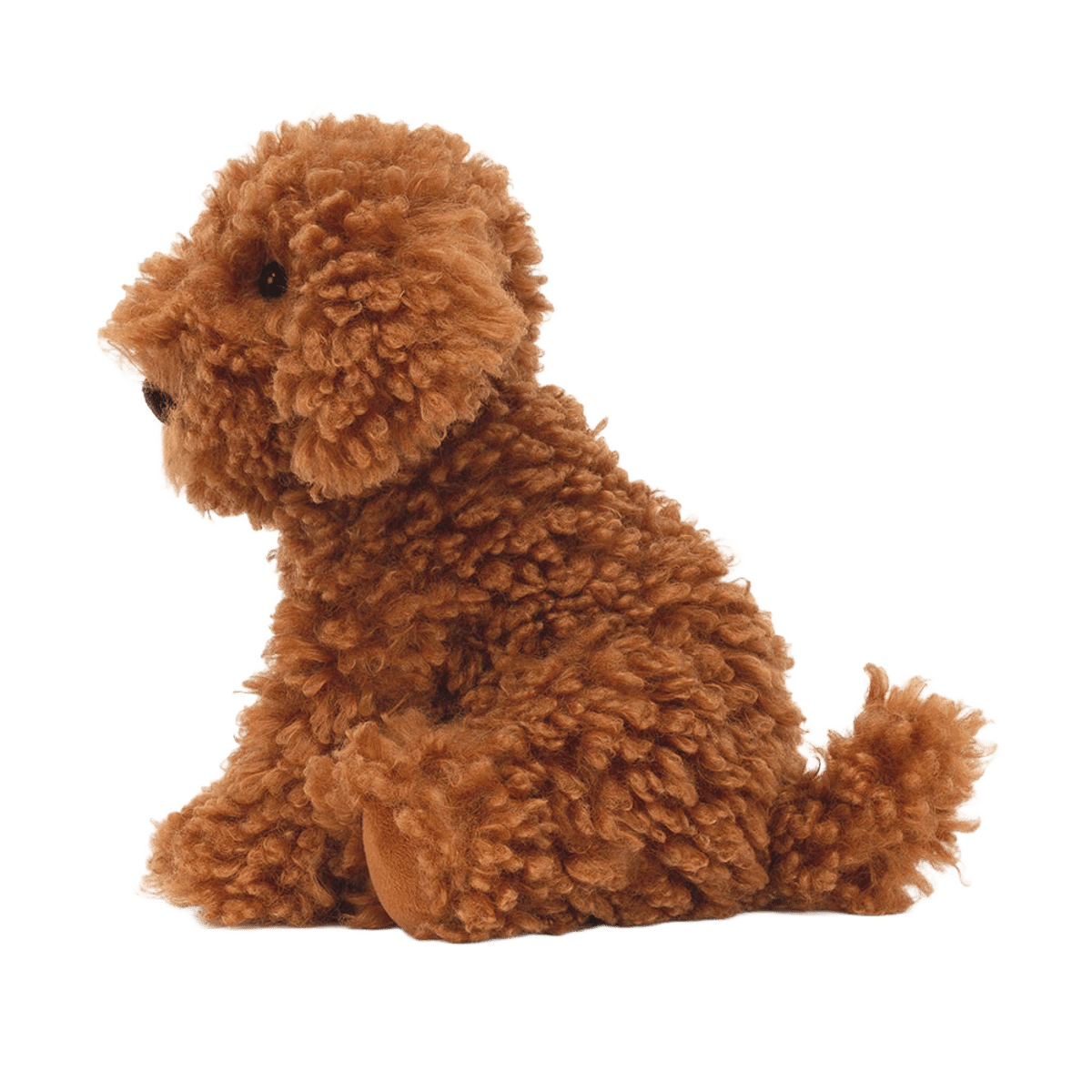 Cooper Doodle Dog