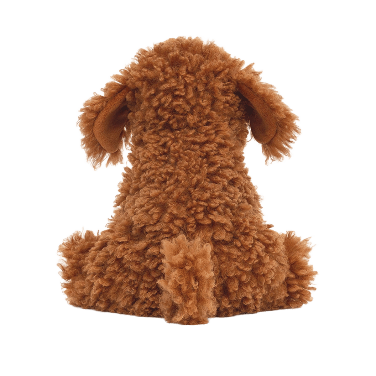 Cooper Doodle Dog