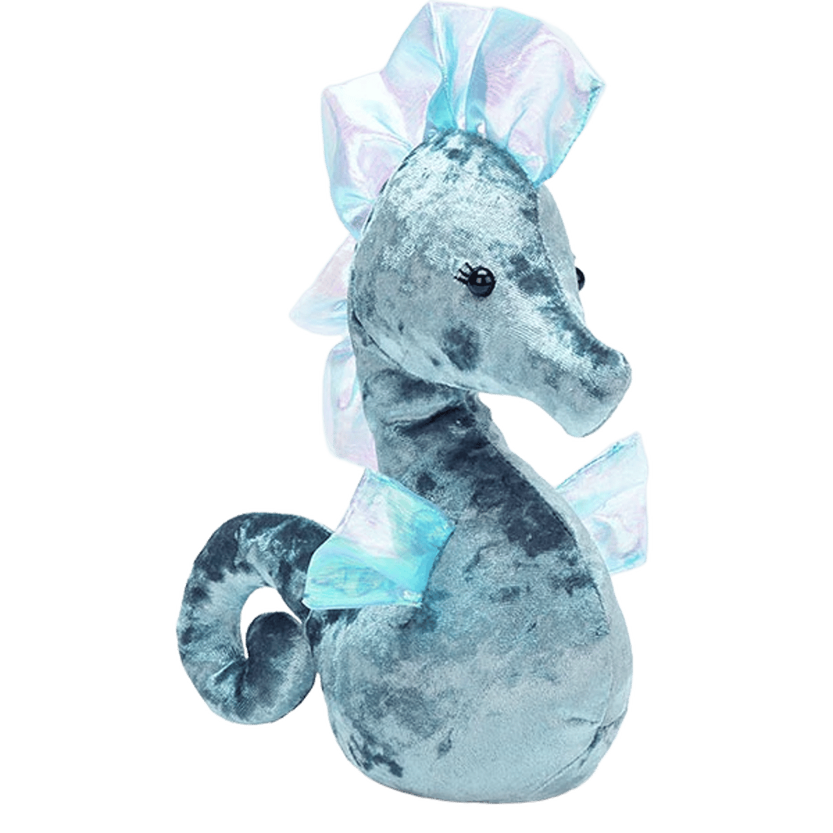 Coral Cutie Blue