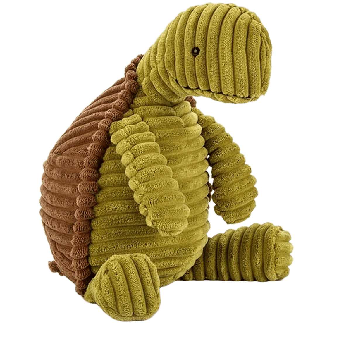 Cordy Roy Tortoise